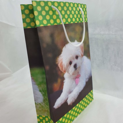 Sacola Cachorrinho  16cm x 26cm x 6 cm
