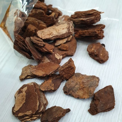 Casca De Árvore Comum Decoração, Arranjos, Jardins