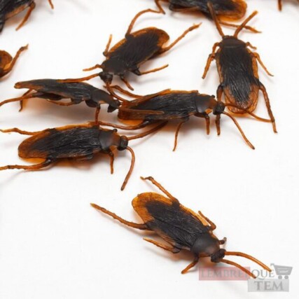 Kit Baratas Halloween decoração pegadinha C/5 borracha – Barata