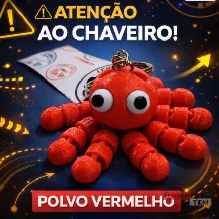Chaveiro Polvinho Pocket Hapy